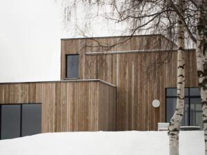 LAMES DE BARDAGE EN KEBONY